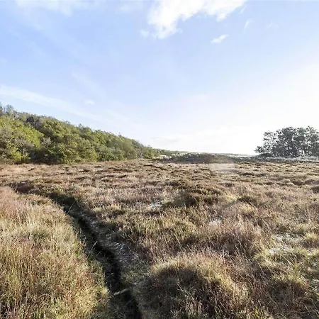 Дом отдыха 991-thisted-liusborg-sti-23 *